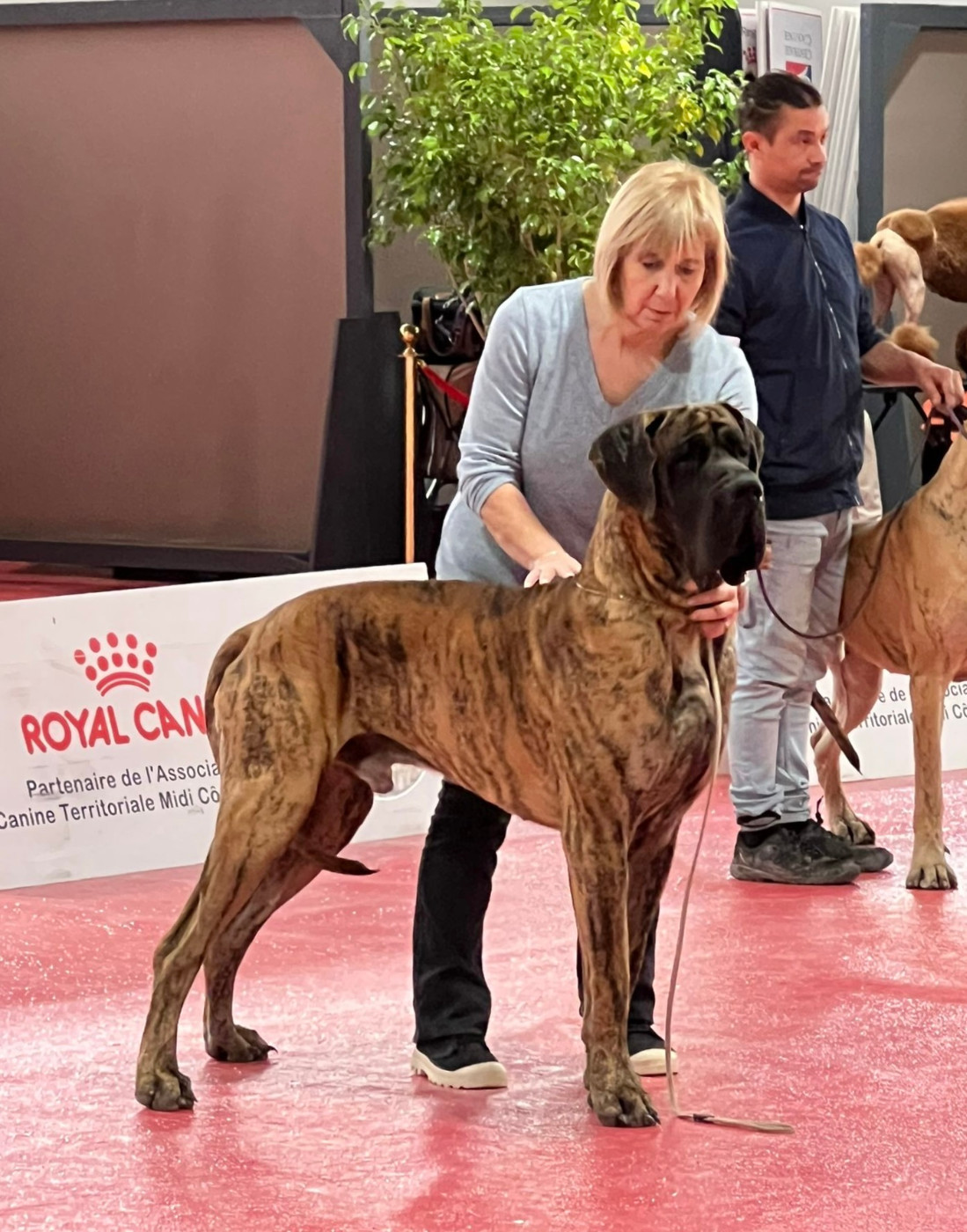 Unesco des Joyaux d'Allythelia