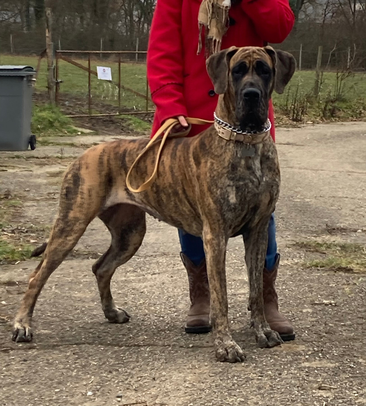 A-Duchesse des Joyaux d'Allythelia