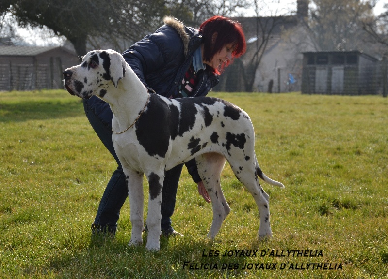 Félicia des JOYAUX D'ALLYTHELIA son album perso