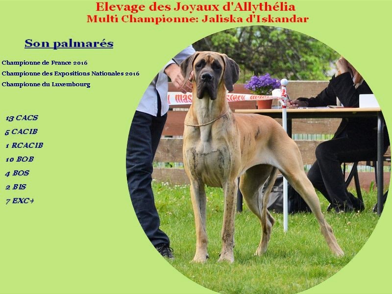 Mon Album photo